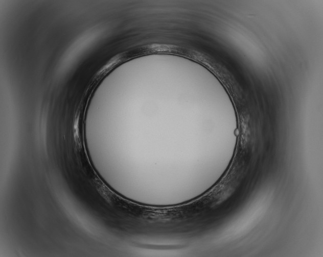 X0000086721198200705111549