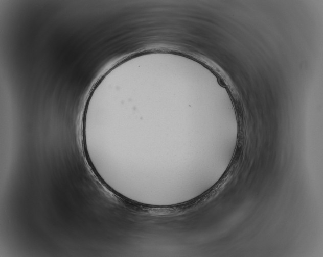 X0000086721199200705111549