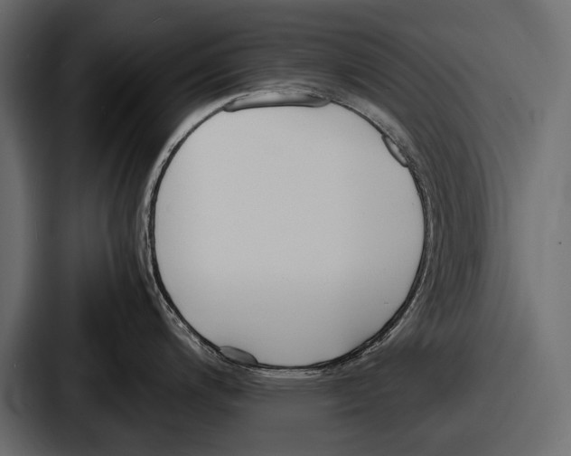 X0000086721200200705111549