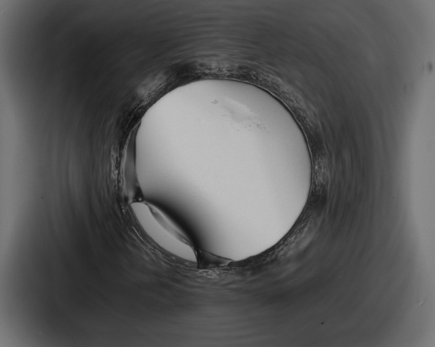 X0000086721202200705111548