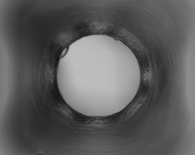 X0000086721204200705111548