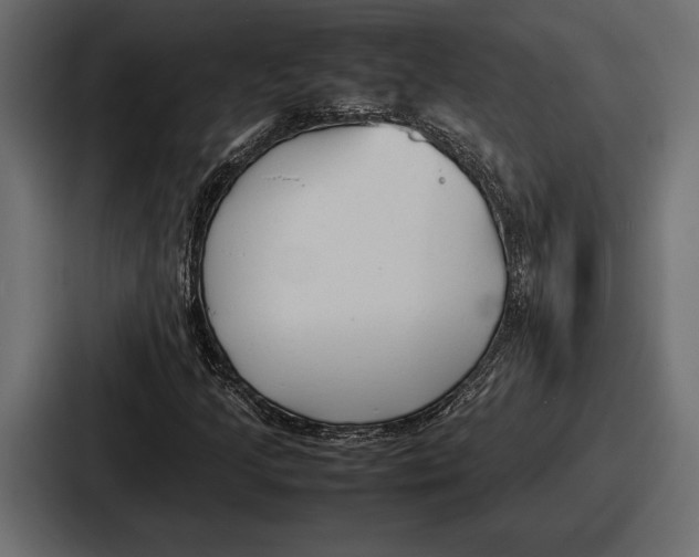 X0000086721205200705111548