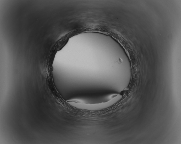 X0000086721206200705111548