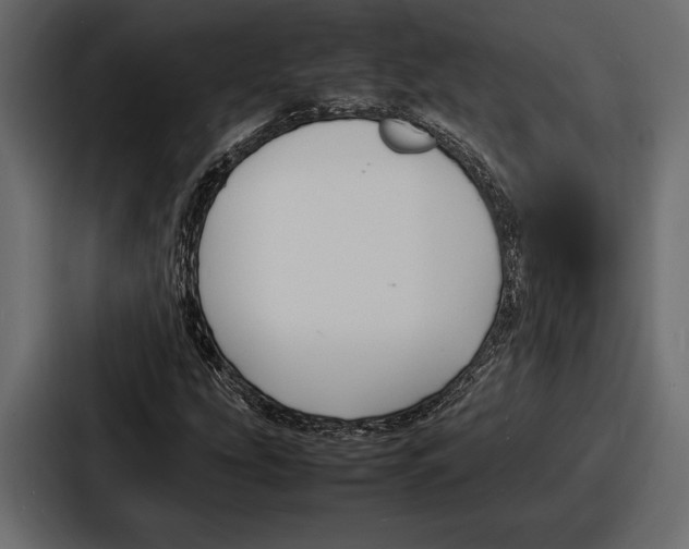 X0000086721207200705111548