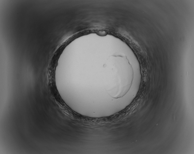 X0000086721208200705111548