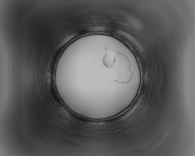 X0000086721209200705111548