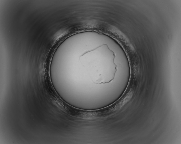 X0000086721210200705111548