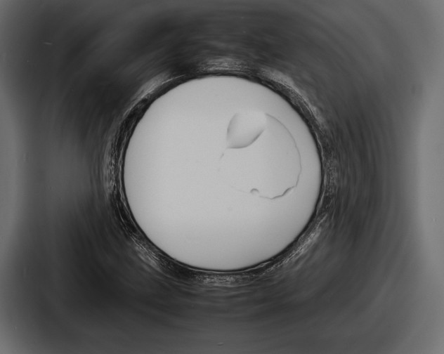 X0000086721211200705111548