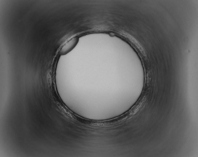 X0000086721212200705111548