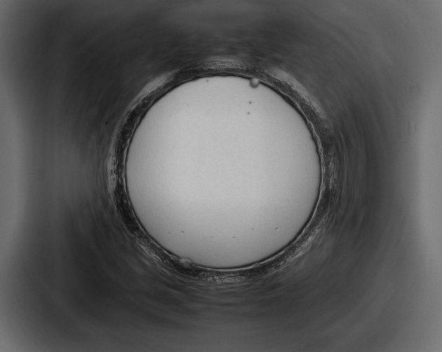 X0000086721213200705111548