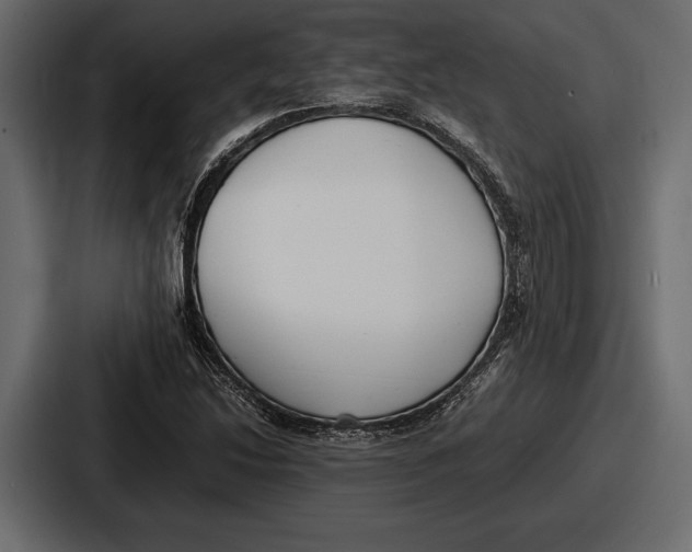 X0000086721214200705111548