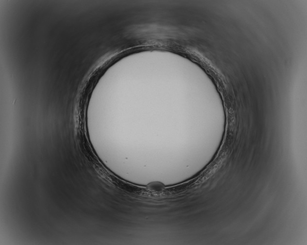 X0000086721215200705111548