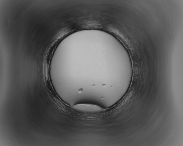 X0000086721219200705111548