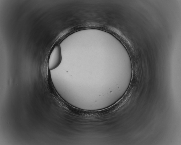 X0000086721221200705111548