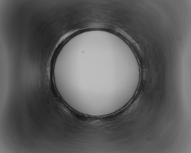 X0000086721222200705111548