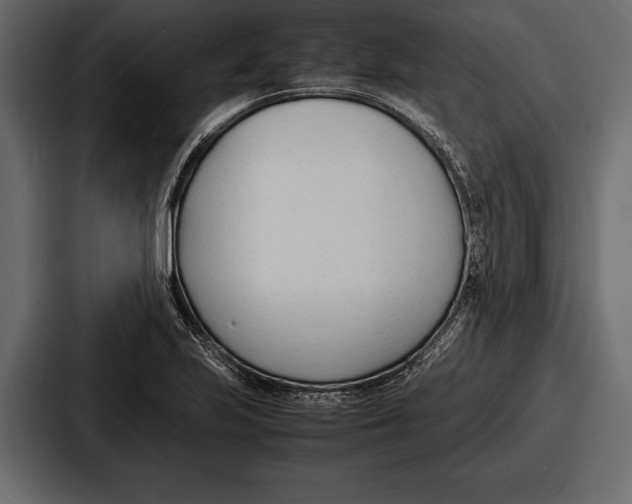 X0000086721223200705111548