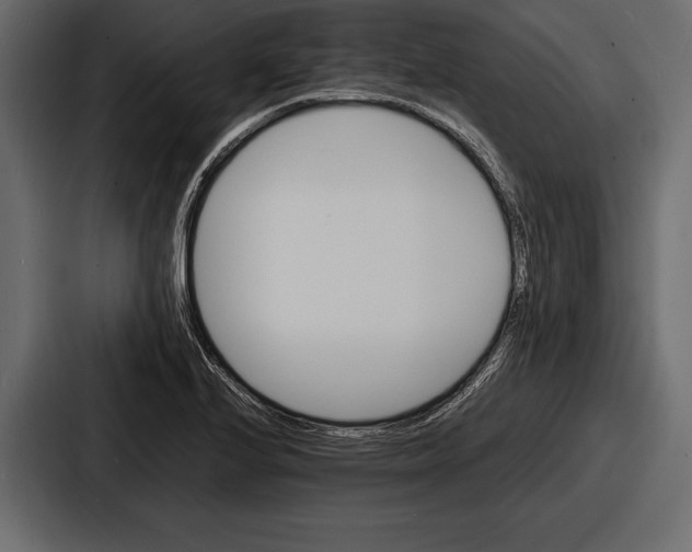 X0000086721224200705111548