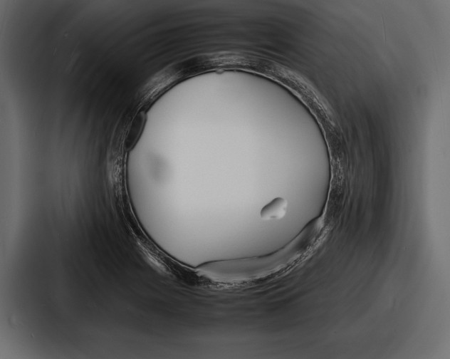 X0000086721225200705111548