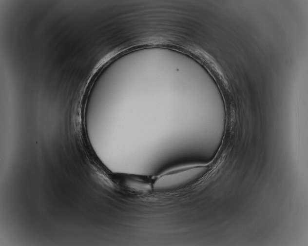 X0000086721226200705111548