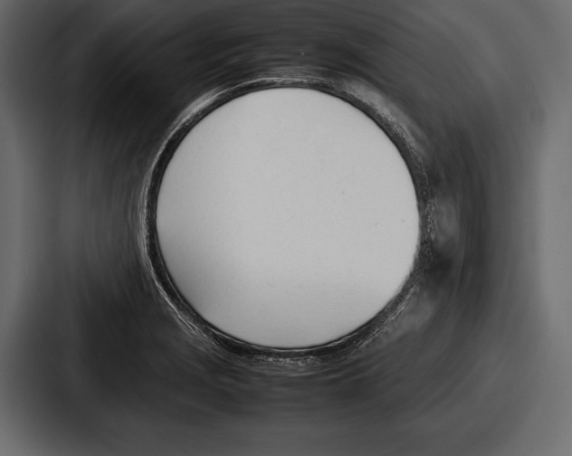 X0000086721229200705111548