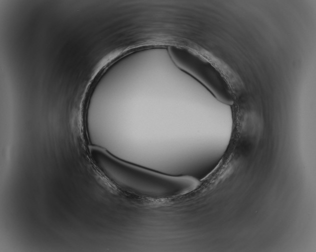 X0000086721230200705111548