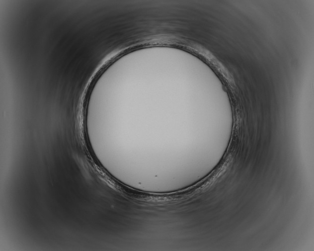 X0000086721232200705111548