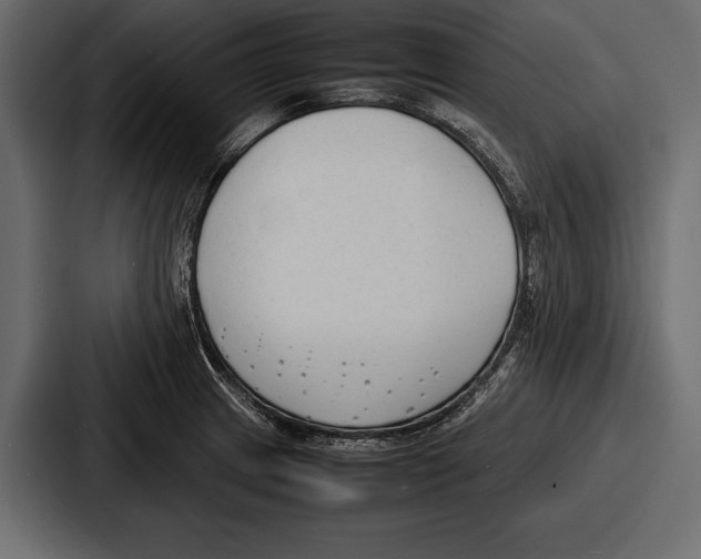 X0000086721233200705111548