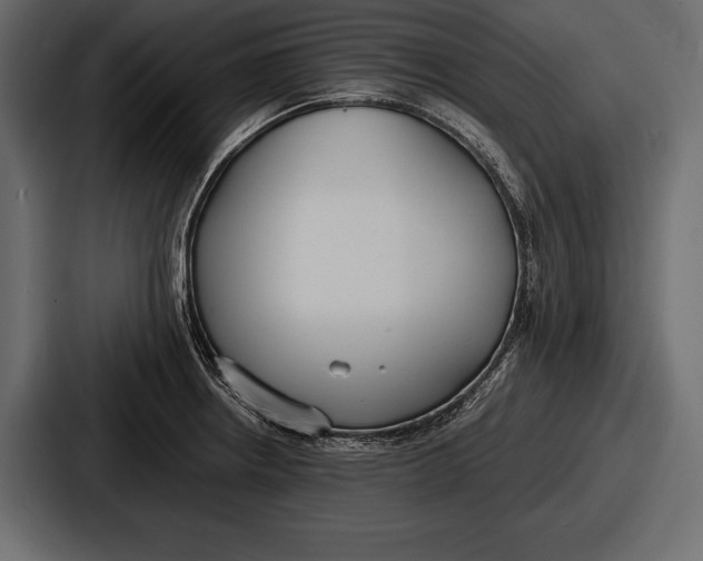 X0000086721234200705111548