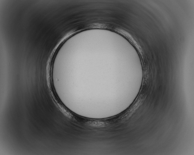 X0000086721235200705111548