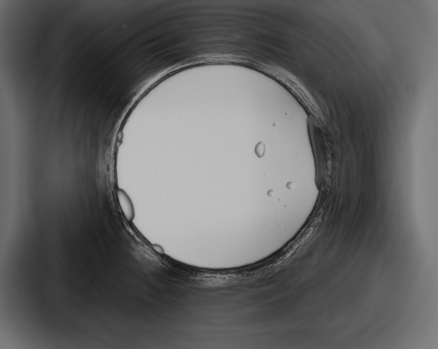 X0000086721236200705111548