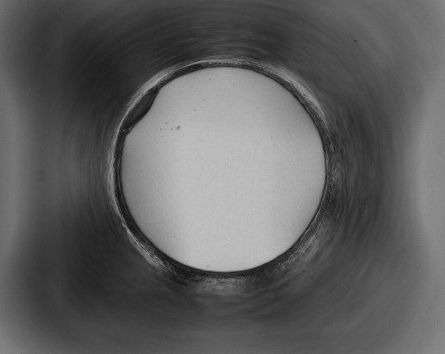 X0000086721237200705111548