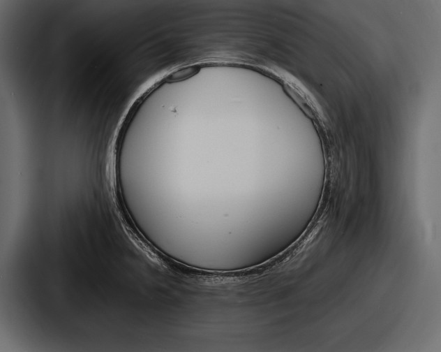 X0000086721238200705111548