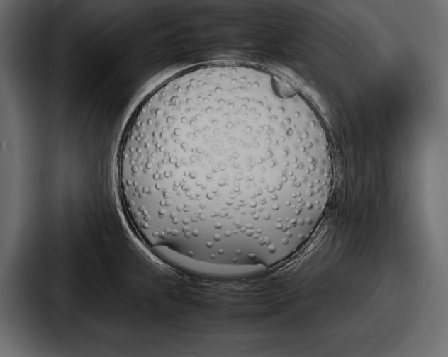 X0000086721239200705111548