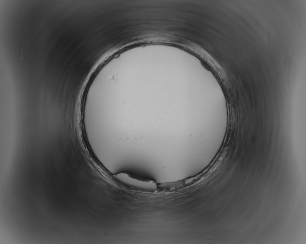 X0000086721240200705111548