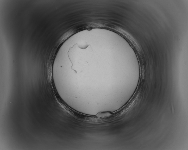 X0000086721241200705111548