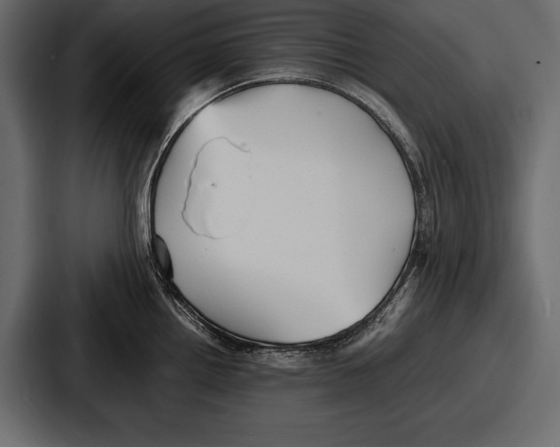 X0000086721242200705111548