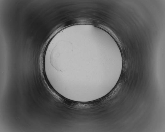 X0000086721243200705111548