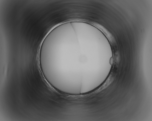 X0000086721244200705111548