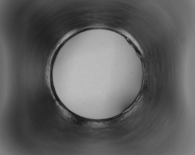 X0000086721245200705111549