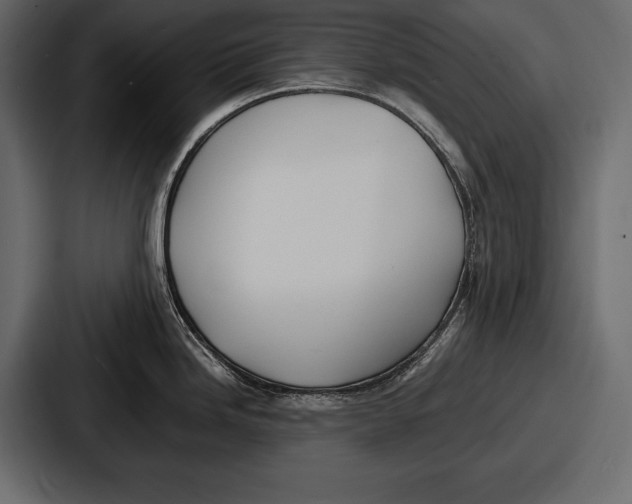 X0000086721246200705111549