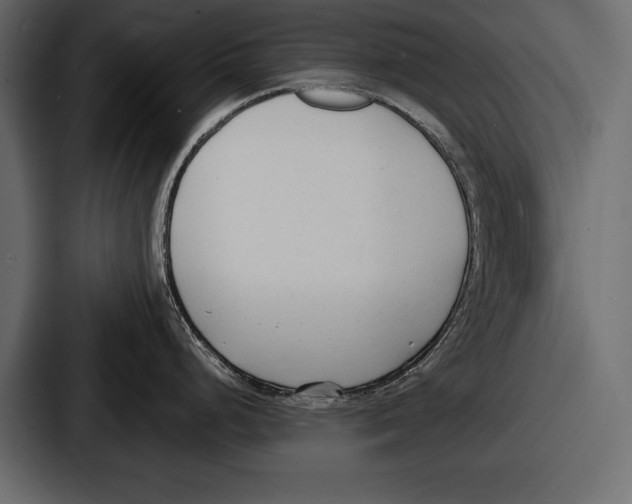 X0000086721248200705111549