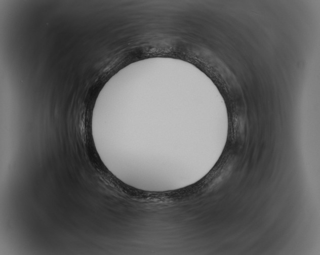 X0000086721250200705111548