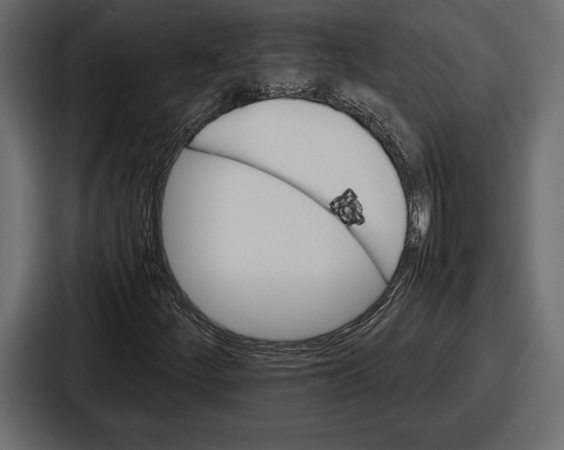 X0000086721252200705111548