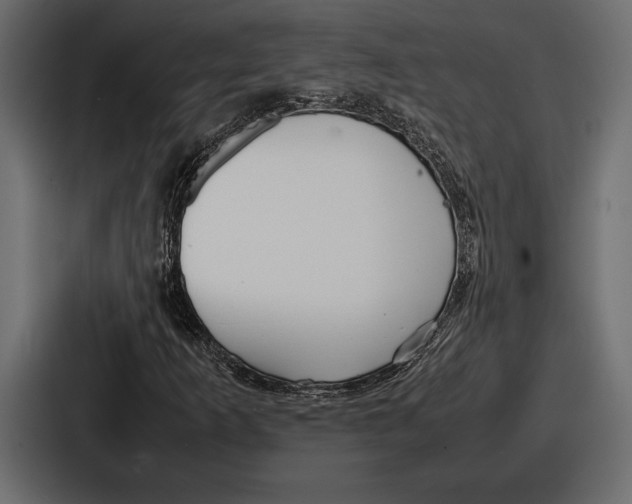 X0000086721253200705111548