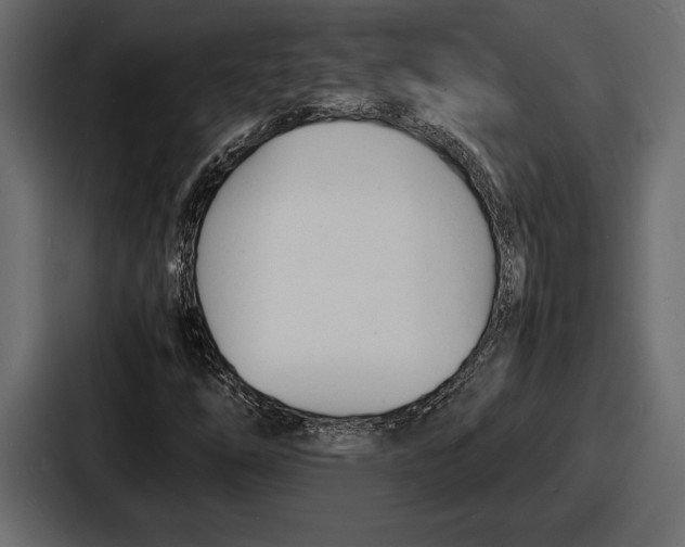 X0000086721254200705111548