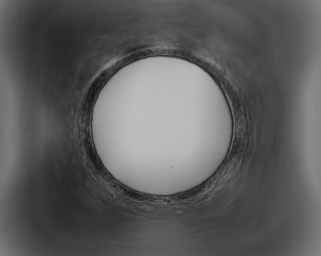 X0000086721255200705111548