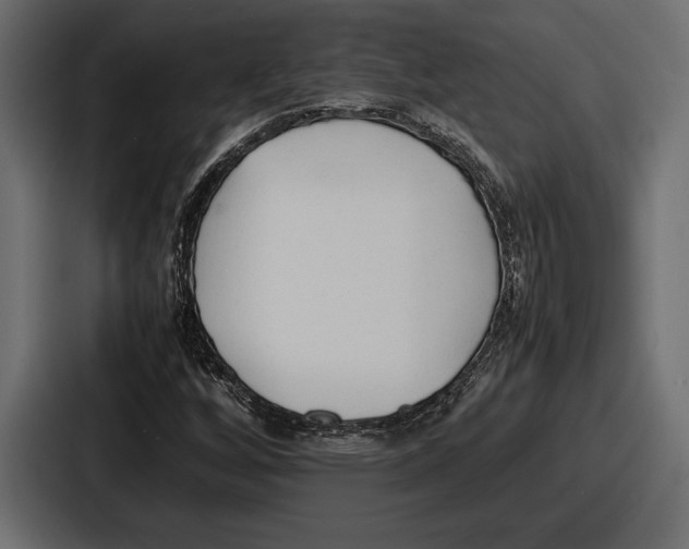 X0000086721256200705111548