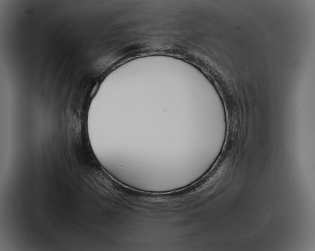 X0000086721257200705111548