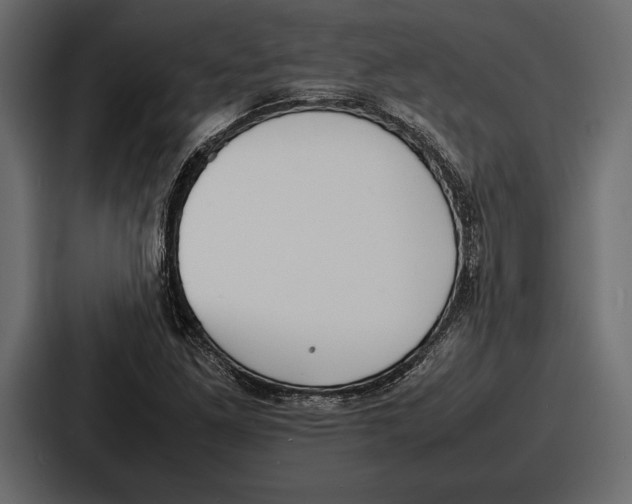 X0000086721261200705111548