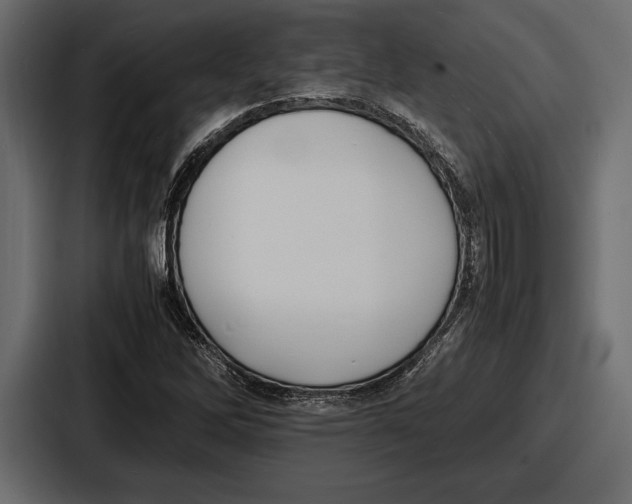 X0000086721262200705111548